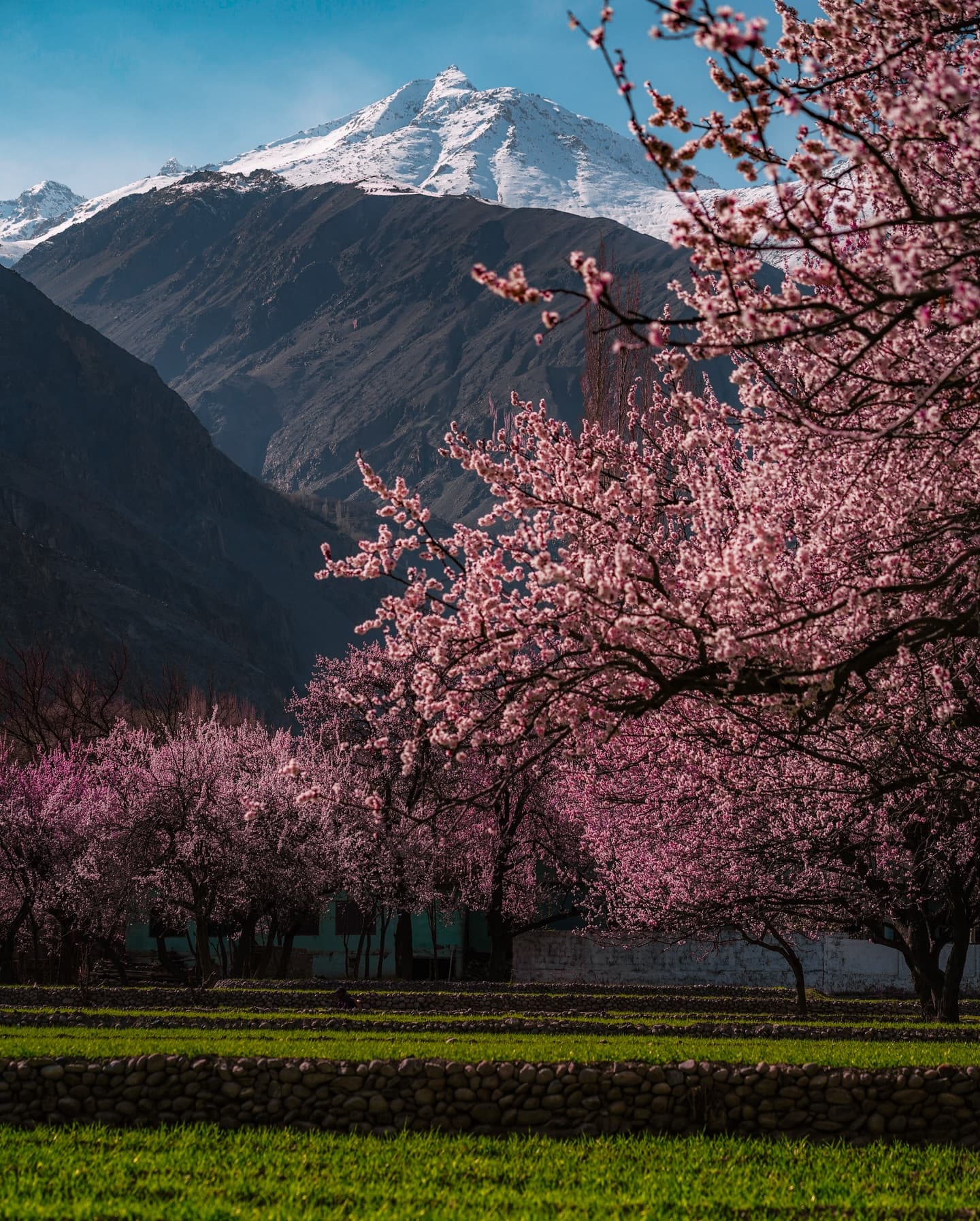 Skardu Valley
