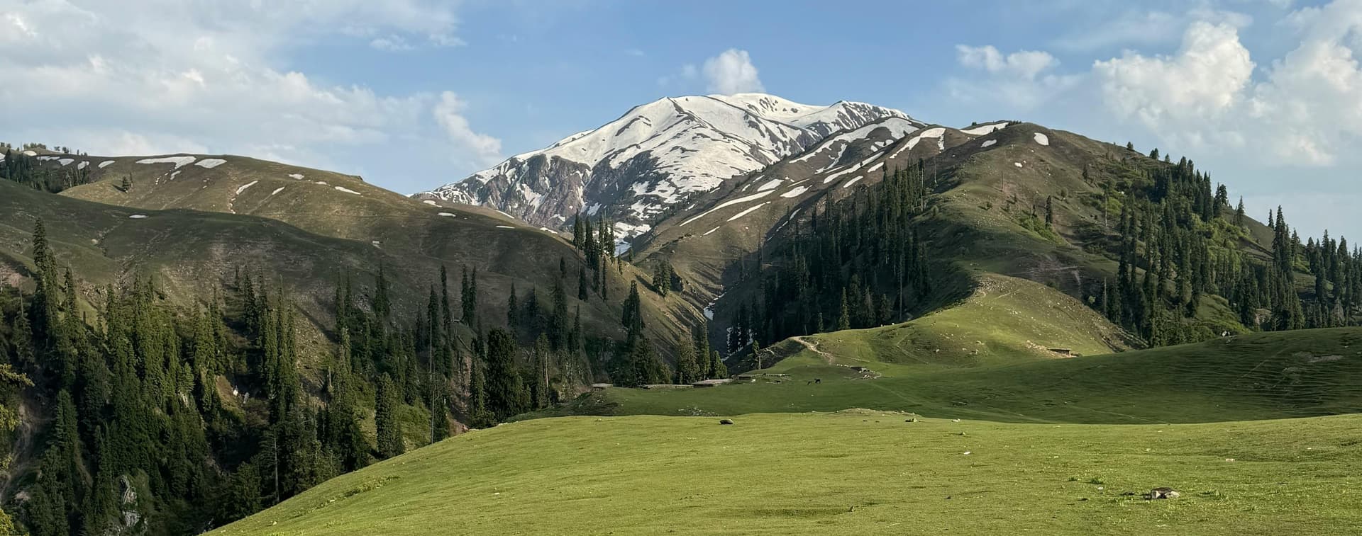 Shogran & Siri Paye — Alpine Escape - Image 1