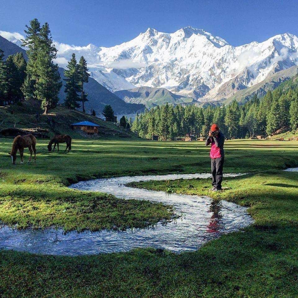 5 Days Fairy Meadows & Nanga Parbat Base Camp