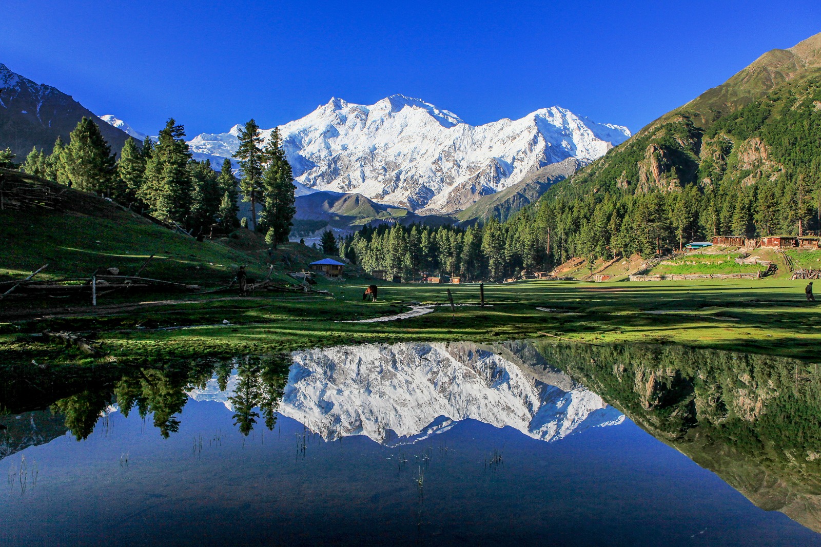 Fairy Meadows